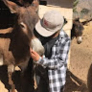 Meet your Posher, حتى سقط